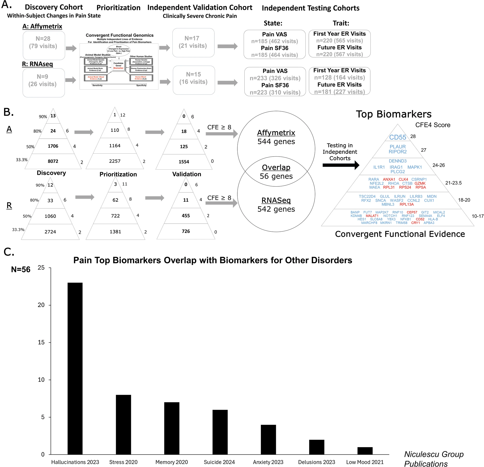Molecular Psychiatry